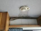 1999 Ford F550 Super Duty Stripped Chassis იყიდება Magna-ში, UT - Top/Roof