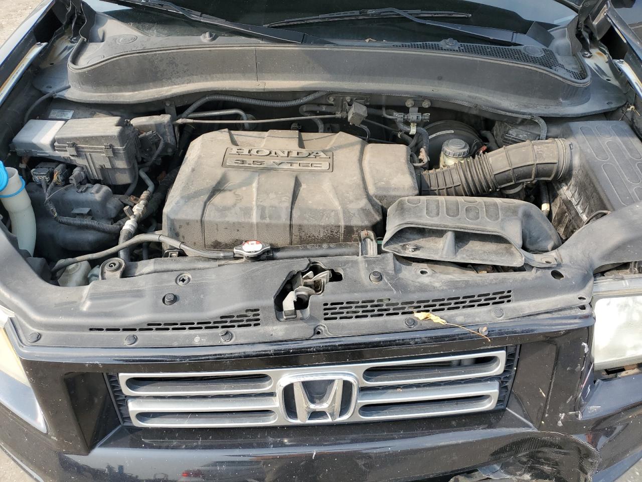 2006 Honda Ridgeline Rtl VIN: 2HJYK16516H520486 Lot: 59760035