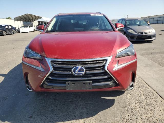  LEXUS NX 2015 Czerwony