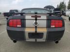 2005 Ford Mustang Gt for Sale in Rancho Cucamonga, CA - Front End