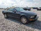 2006 Ford Mustang    for Sale in Arcadia, FL - Rear End