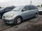 2005 Honda Odyssey Exl en Venta en Hillsborough, NJ - Side