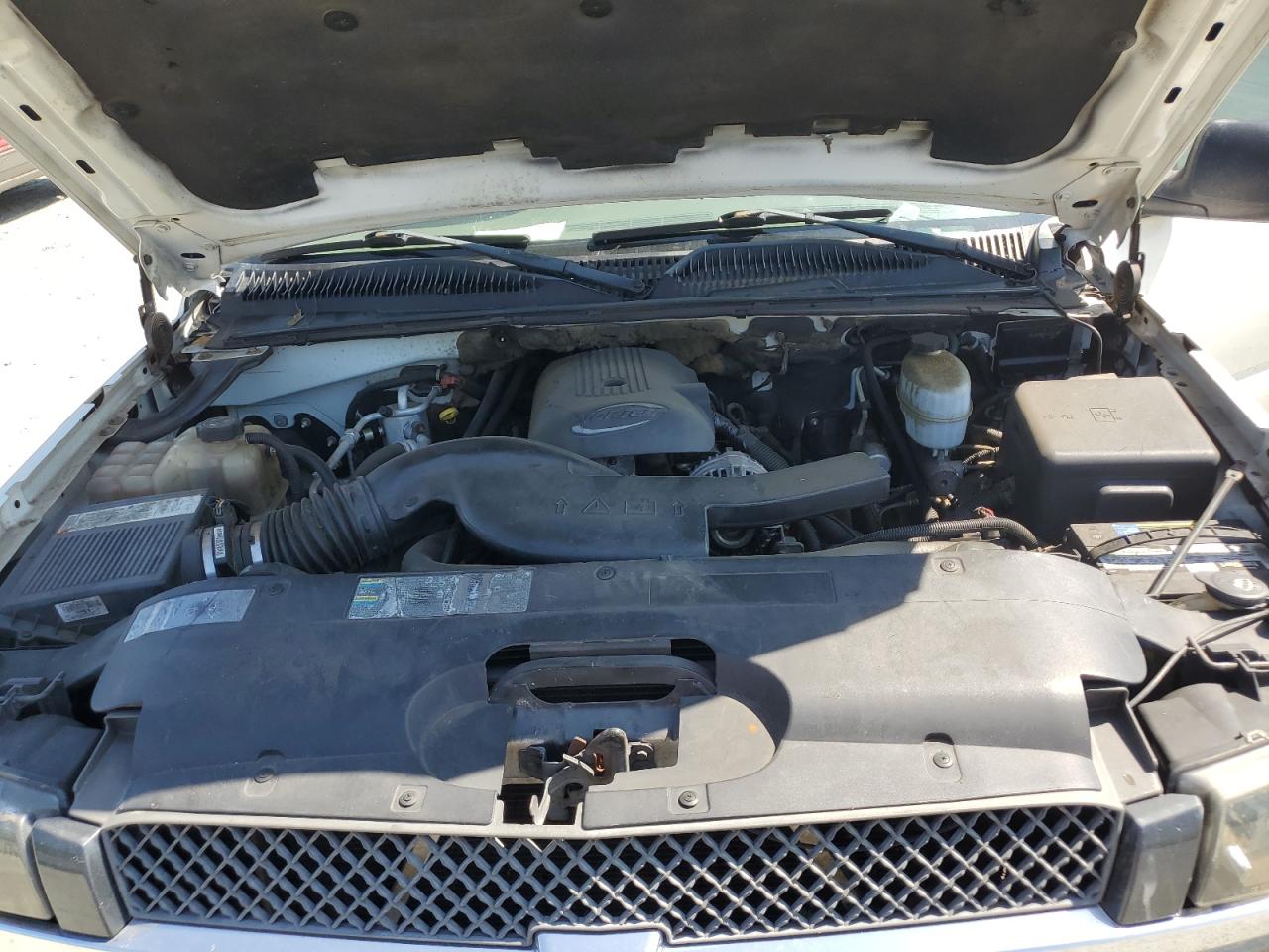 2005 Chevrolet Avalanche C1500 VIN: 3GNEC12Z25G205098 Lot: 60939285
