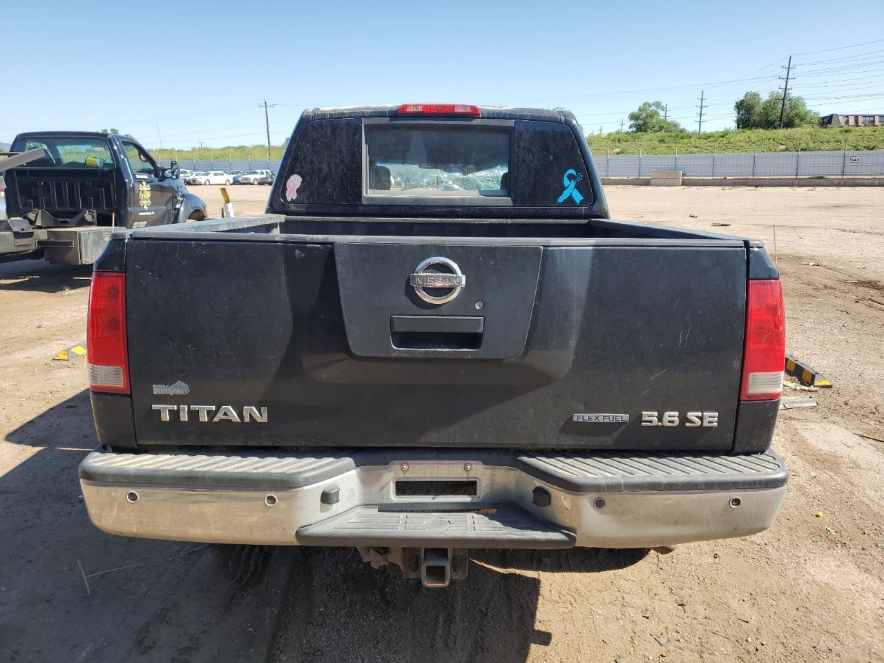 2010 Nissan Titan Xe VIN: 1N6BA0EC8AN309483 Lot: 60492965