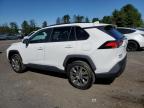 2019 Toyota Rav4 Xle Premium for Sale in Finksburg, MD - Rear End