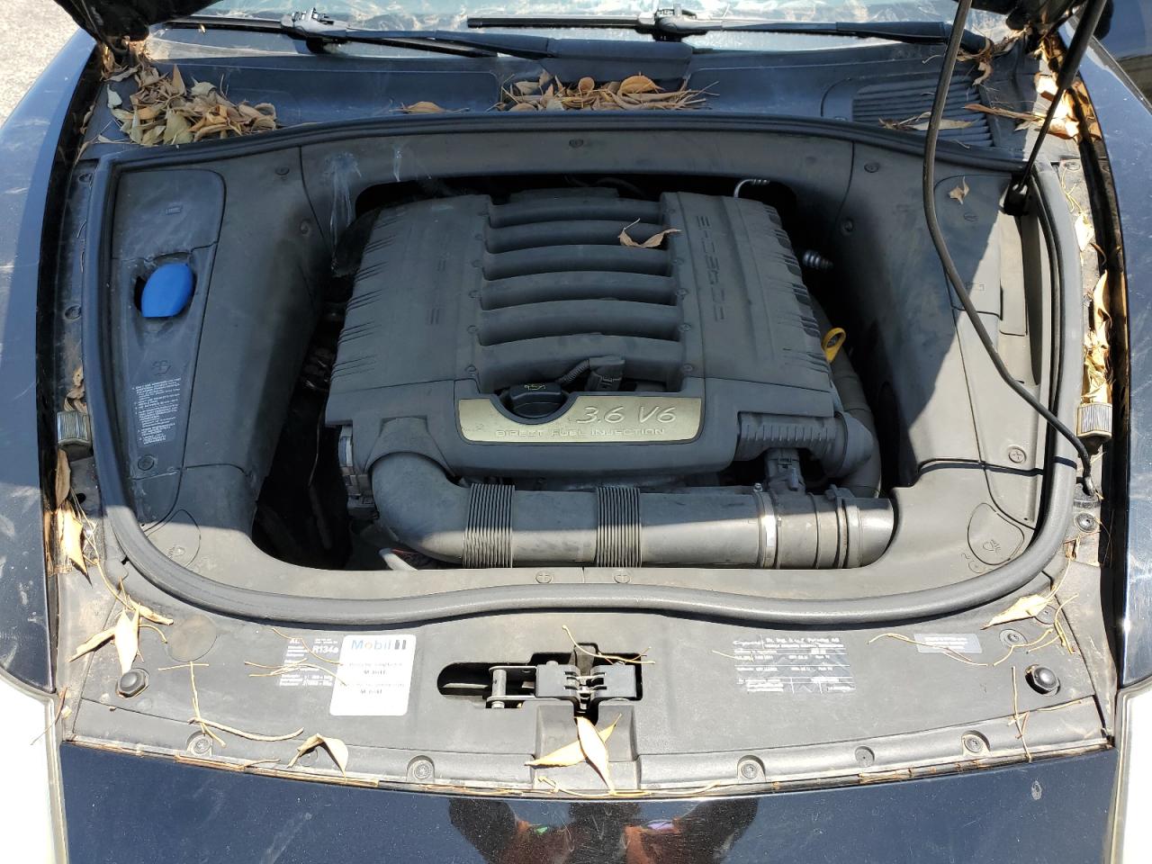 2009 Porsche Cayenne VIN: WP1AA29P29LA07703 Lot: 60674845