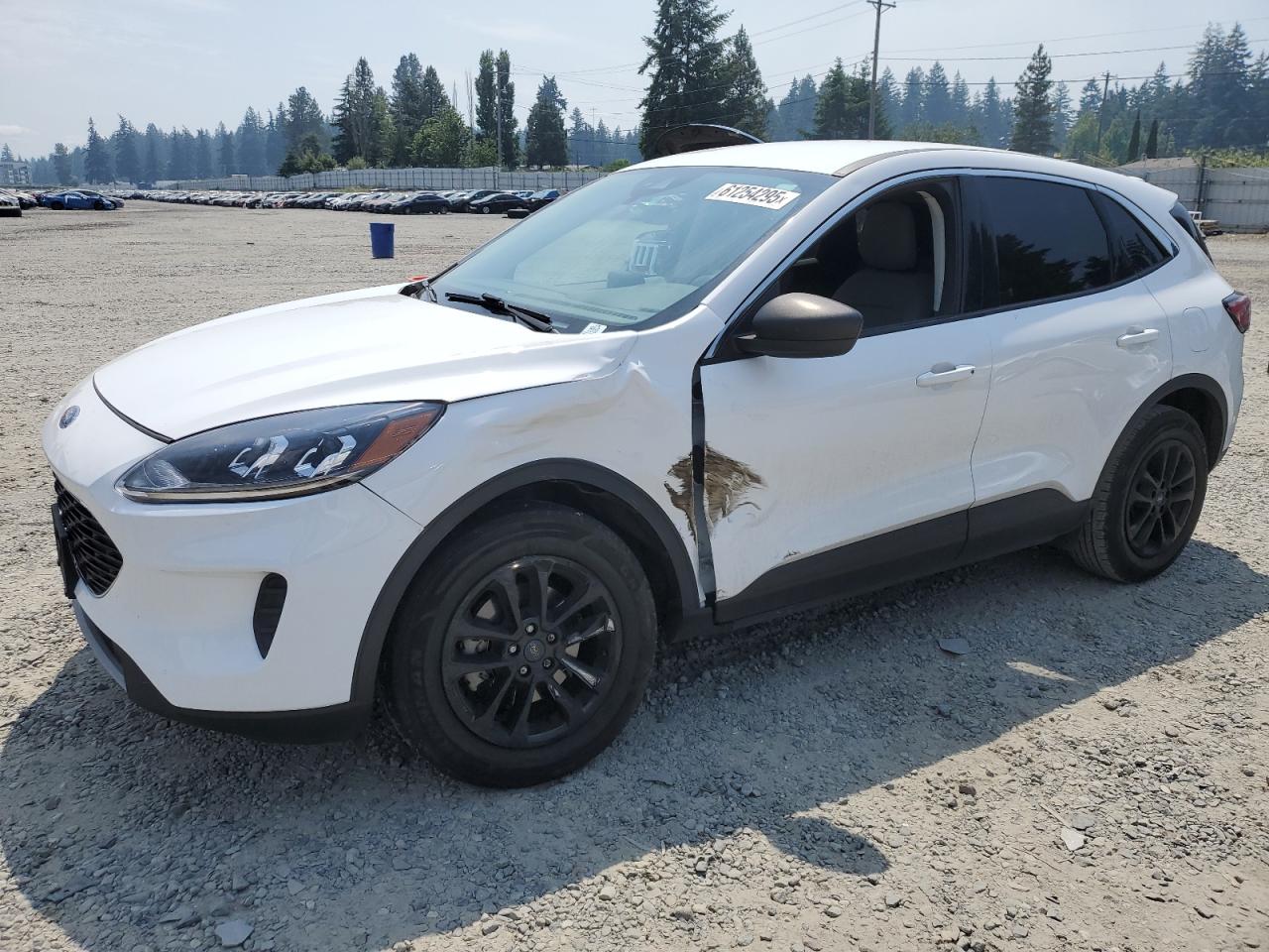 2022 Ford Escape Se იყიდება Graham-ში, WA - Side