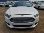 2013 Ford Fusion Titanium   იყიდება Woodhaven-ში, MI - Front End