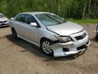 2009 TOYOTA COROLLA BASE   à vendre chez Copart ON - COOKSTOWN