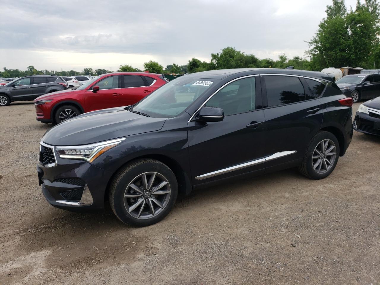 2019 Acura Rdx Advance