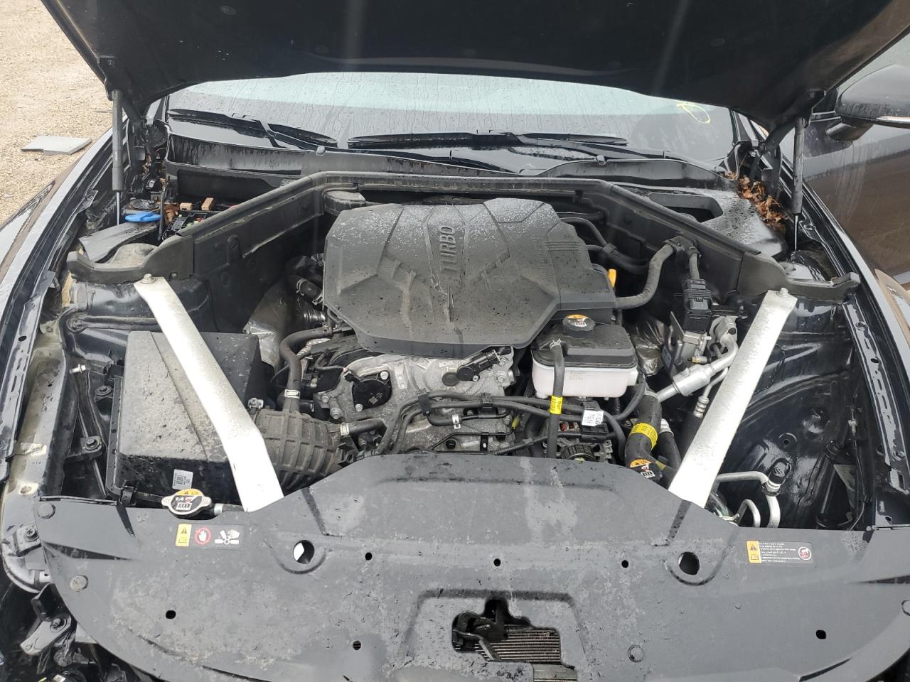 2022 Kia Stinger Gt Line VIN: KNAE35LD9N6110216 Lot: 60452015