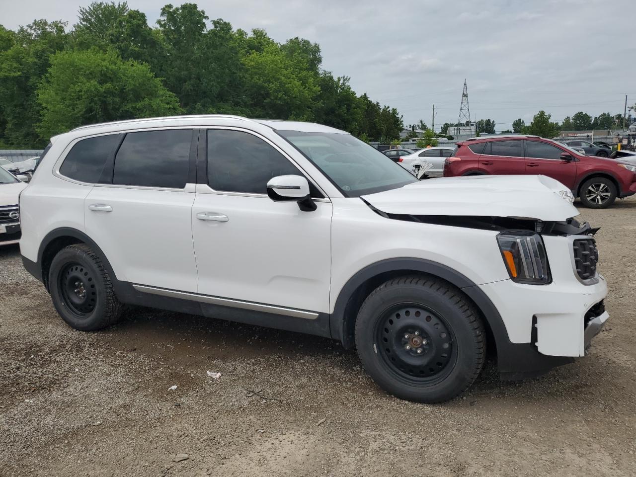 KIA TELLURIDE 2023 VIN 5XYP5DGC4PG360819 photo 4