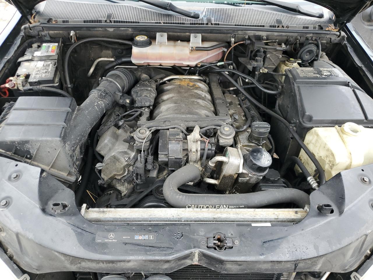 2005 Mercedes-Benz Ml 500 VIN: 4JGAB75E95A544747 Lot: 59879255