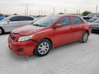 2010 Toyota Corolla Base   for Sale in Haslet, TX - Front End