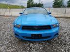 2010 Ford Mustang  للبيع في Northfield، OH - Side