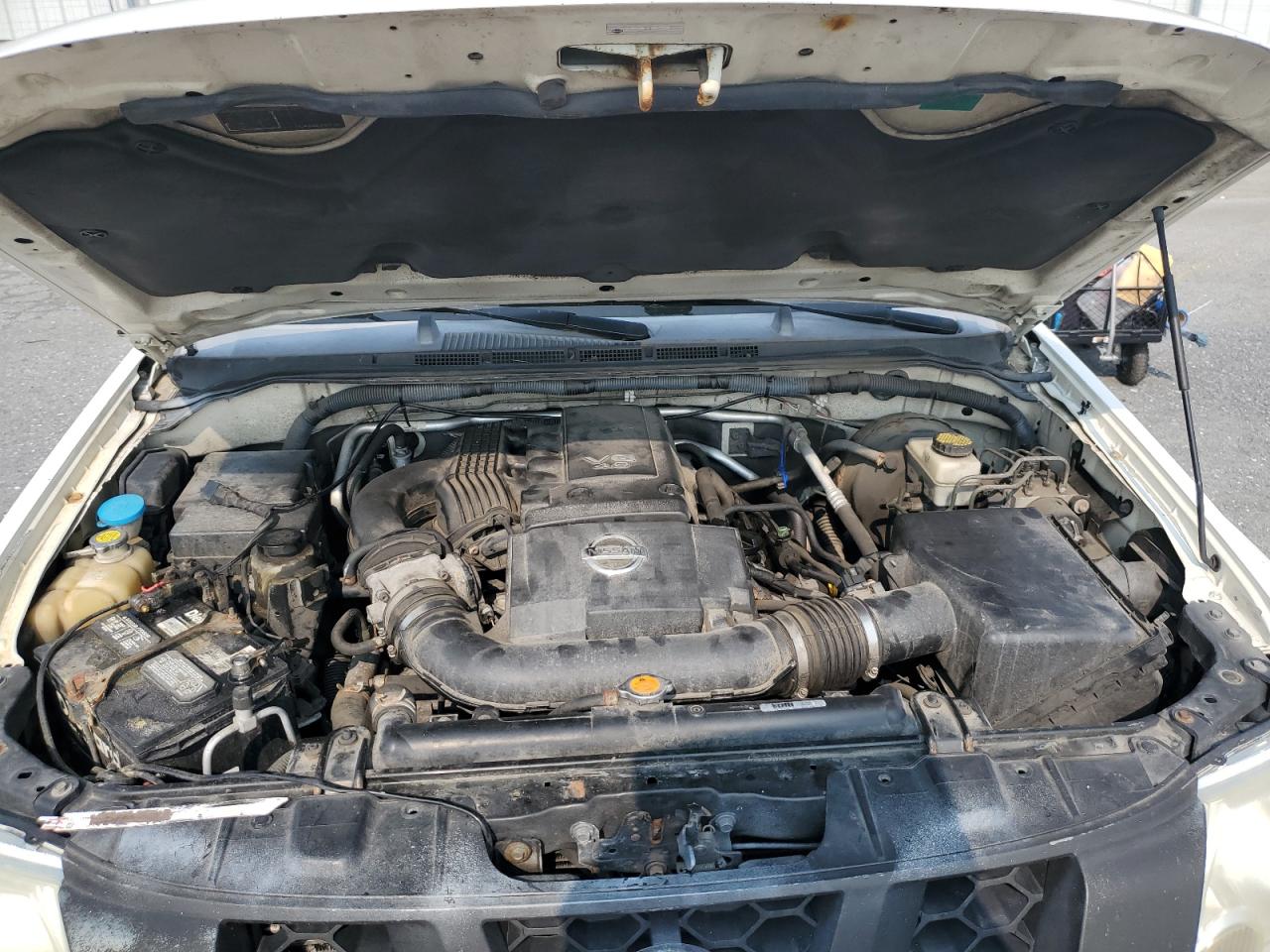 2007 Nissan Xterra Off Road VIN: 5N1AN08W47C507003 Lot: 59612235