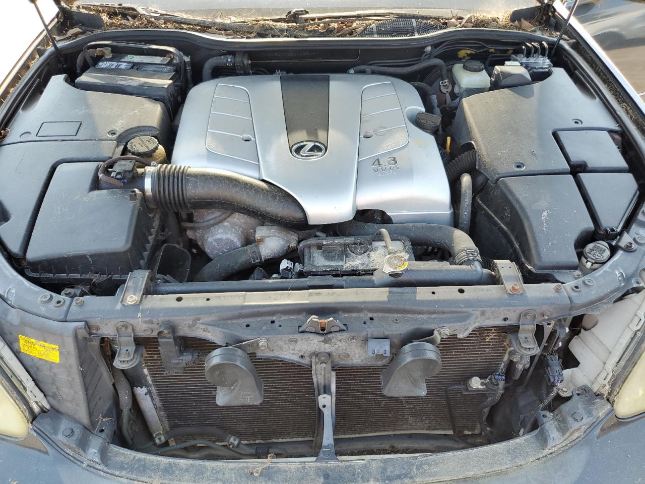 2005 Lexus Ls 430 VIN: JTHBN36F955006234 Lot: 61842795