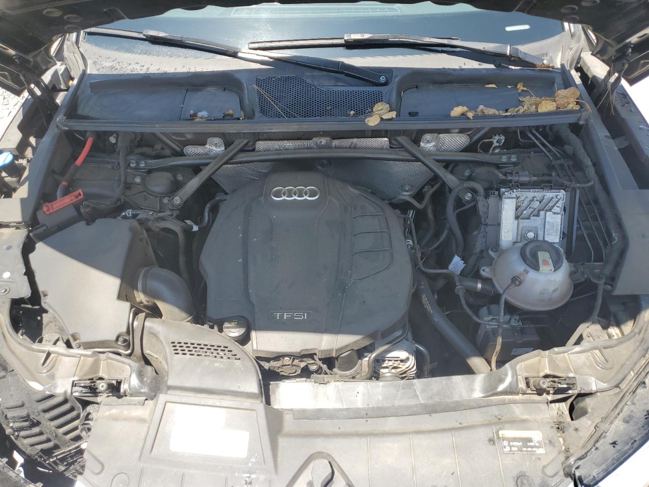 2019 Audi Q5 Premium Plus VIN: WA1BNAFY5K2119600 Lot: 59631195