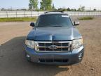 2012 Ford Escape Xlt en Venta en Columbia Station, OH - Front End