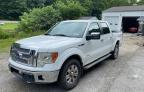 2011 FORD F150 SUPERCREW   for sale at Copart KY - LEXINGTON WEST