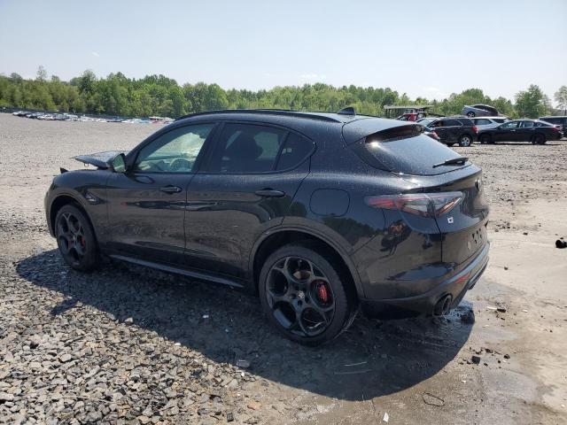  ALFA ROMEO STELVIO 2024 Czarny