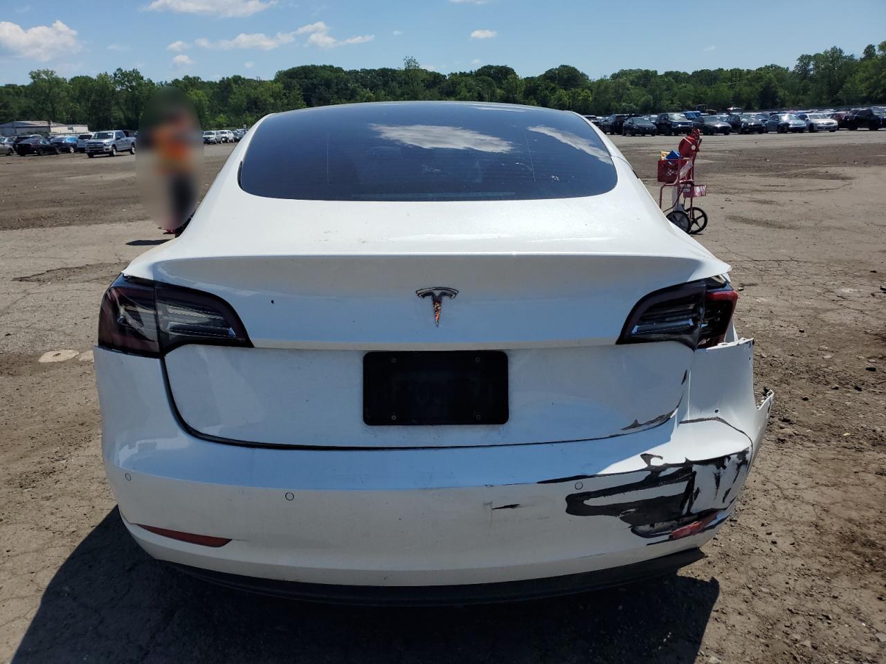 2022 Tesla Model 3 VIN: 5YJ3E1EA9NF114531 Lot: 62323505