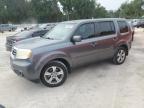 2013 Honda Pilot Exln for Sale in Ocala, FL - Minor Dent/Scratches