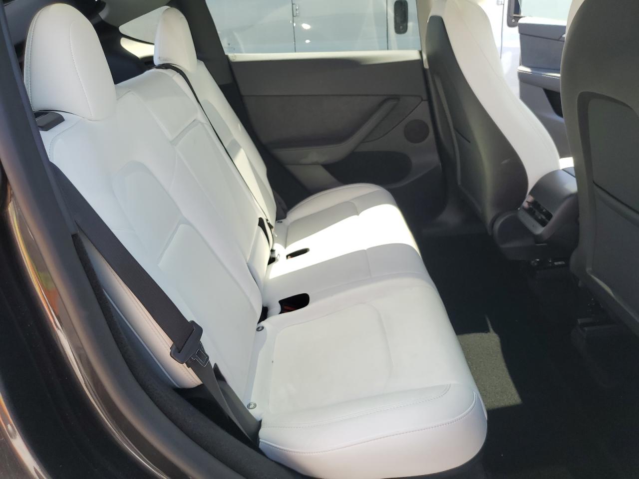 2024 Tesla Model Y VIN: 7SAYGDED5RF038259 Lot: 59727645