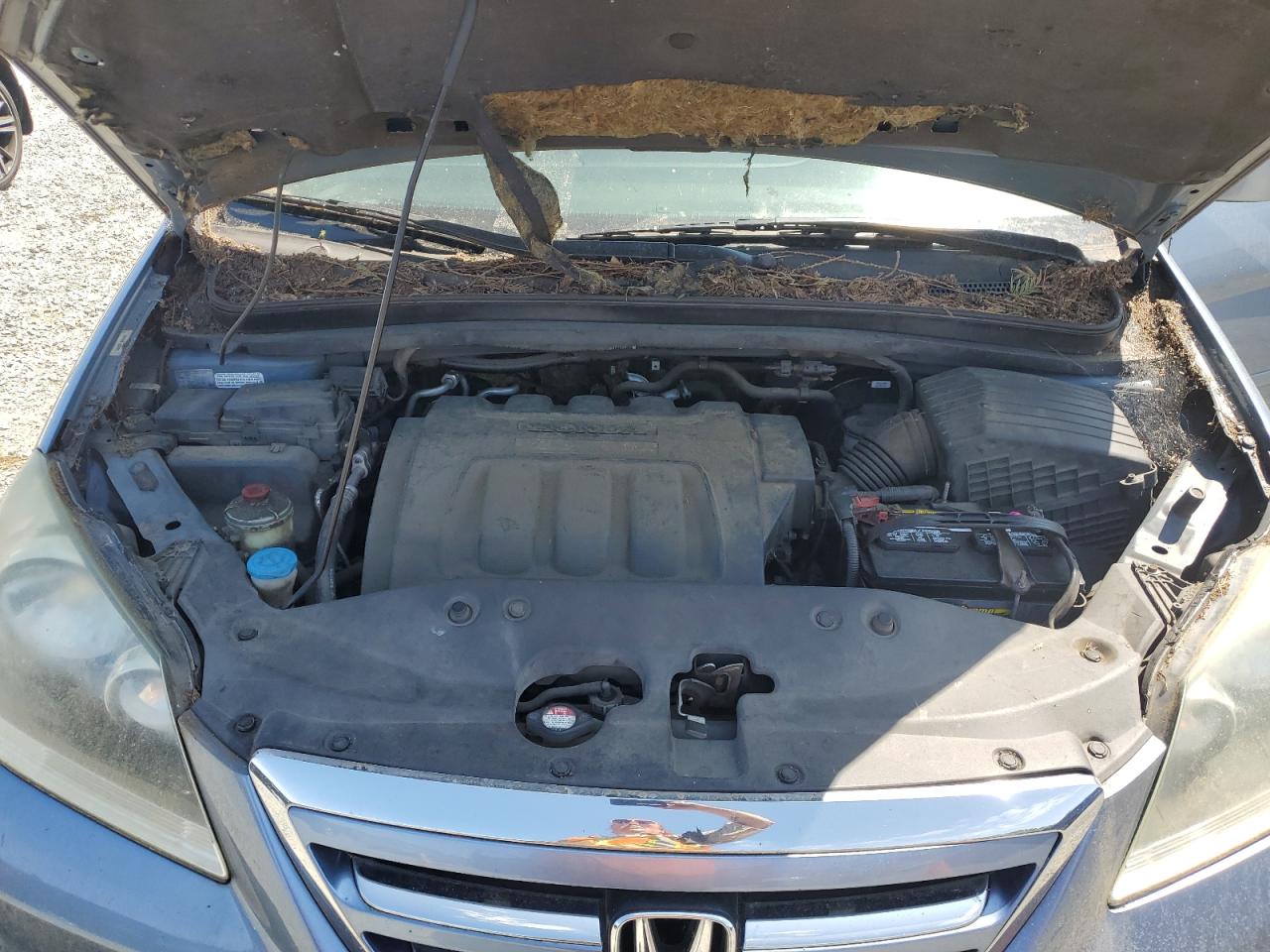 2006 Honda Odyssey Exl VIN: 5FNRL38786B059101 Lot: 61491265