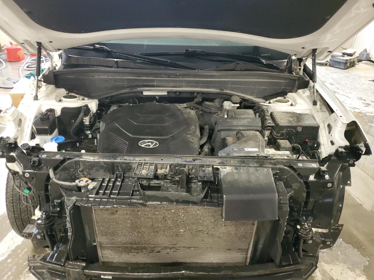 2020 Hyundai Palisade Sel VIN: KM8R3DHE2LU077404 Lot: 60311155