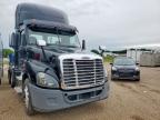 2016 Freightliner Cascadia 125 Semi Truck იყიდება Wilmer-ში, TX - Normal Wear