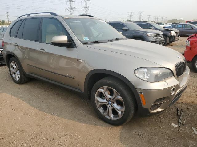 Parquets BMW X5 2012 Beige
