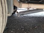 2020 FREIGHTLINER CHASSIS M LINE WALK-IN VAN   for sale at Copart CA - SACRAMENTO