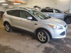 2013 Ford Escape Se for Sale in Ham Lake, MN - Front End