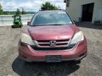 2010 Honda Cr-V Exl   продається в Center Rutland, VT - Front End