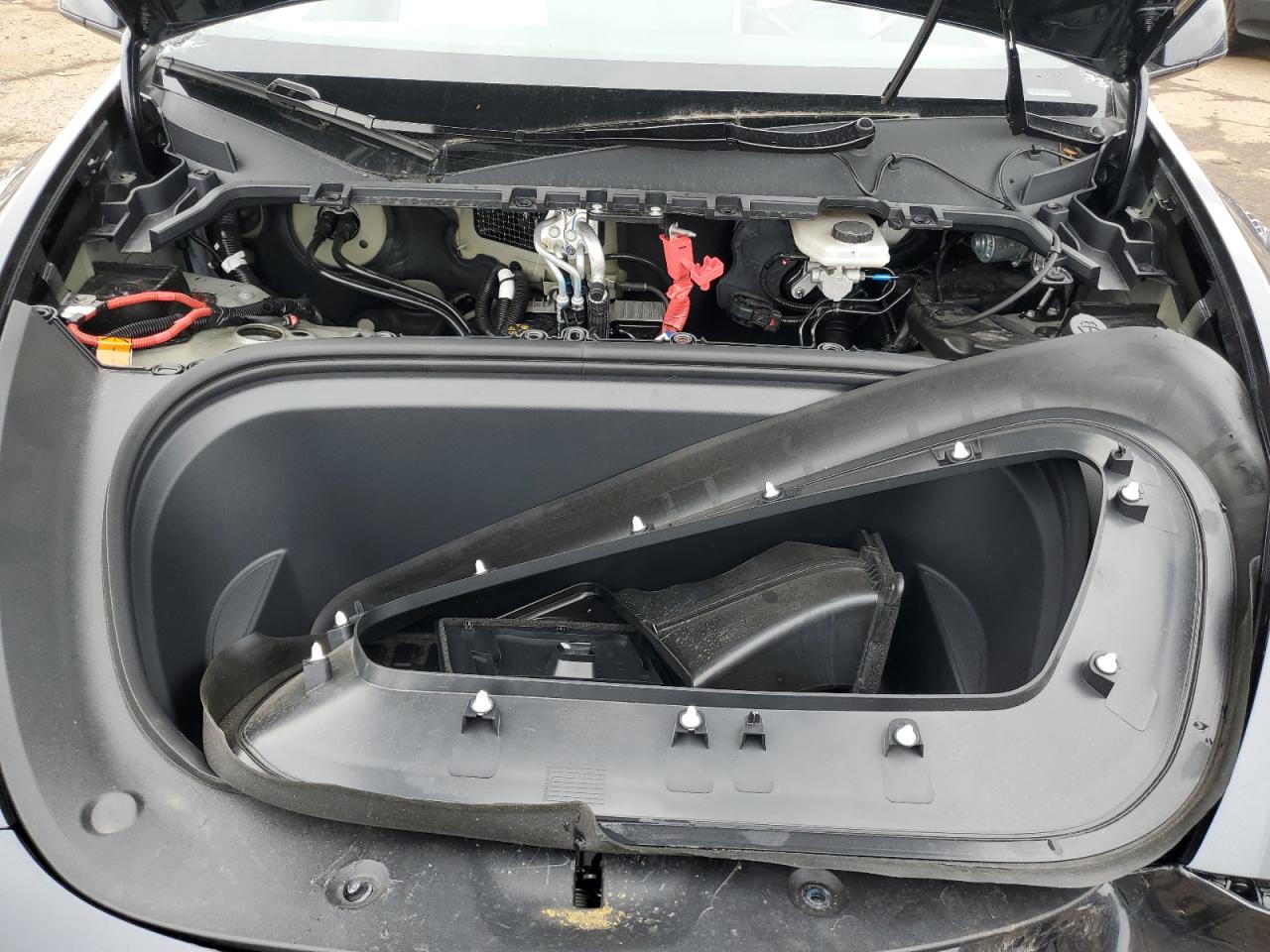 2025 Tesla Model Y VIN: 7SAYGDEF3SF306667 Lot: 62927505