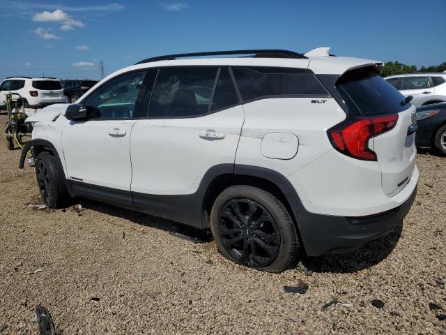  GMC TERRAIN 2020 Белы