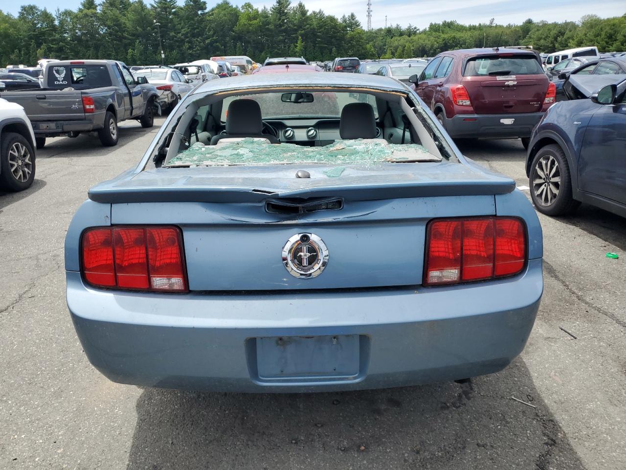 2007 Ford Mustang VIN: 1ZVFT80N675366664 Lot: 62535805