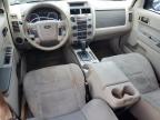 2012 Ford Escape Xlt for Sale in Orlando, FL - Front End