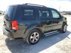 2013 Honda Pilot Exl na sprzedaż w West Palm Beach, FL - Front End