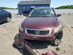 2010 Honda Accord Lxp for Sale in Assonet, MA - Rear End