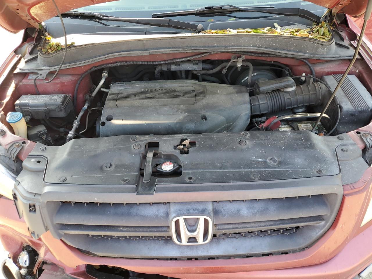 2004 Honda Pilot Exl VIN: 2HKYF18594H549678 Lot: 62077005