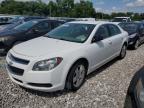 2012 Chevrolet Malibu Ls de vânzare în Cahokia Heights, IL - Hail