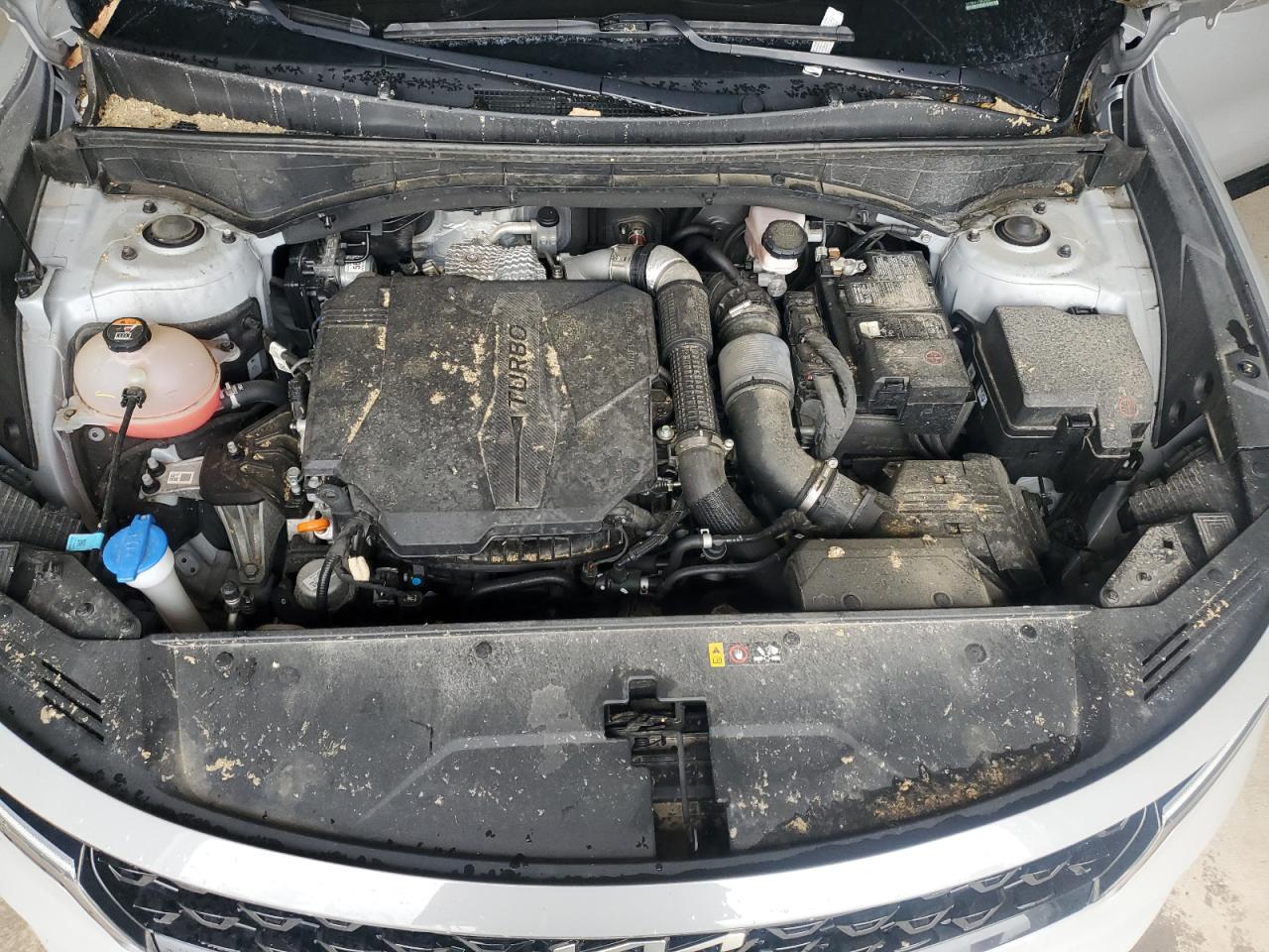 2022 Kia Sorento Sx VIN: 5XYRK4LF5NG088876 Lot: 60649115