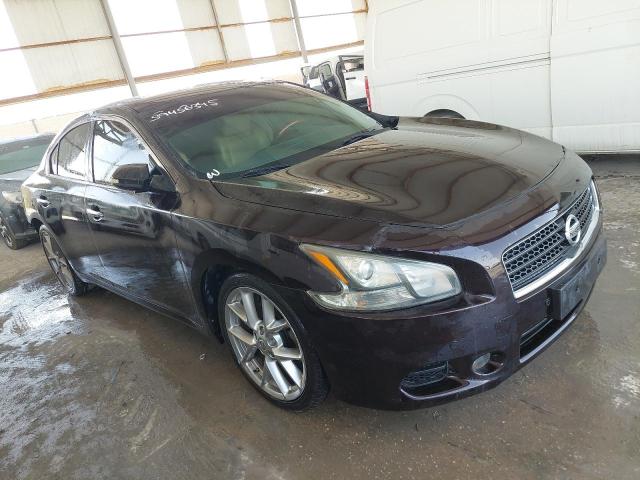 1N4AA5AP8BC804502 - 2011 Nissan MAXIMA - #undefined
