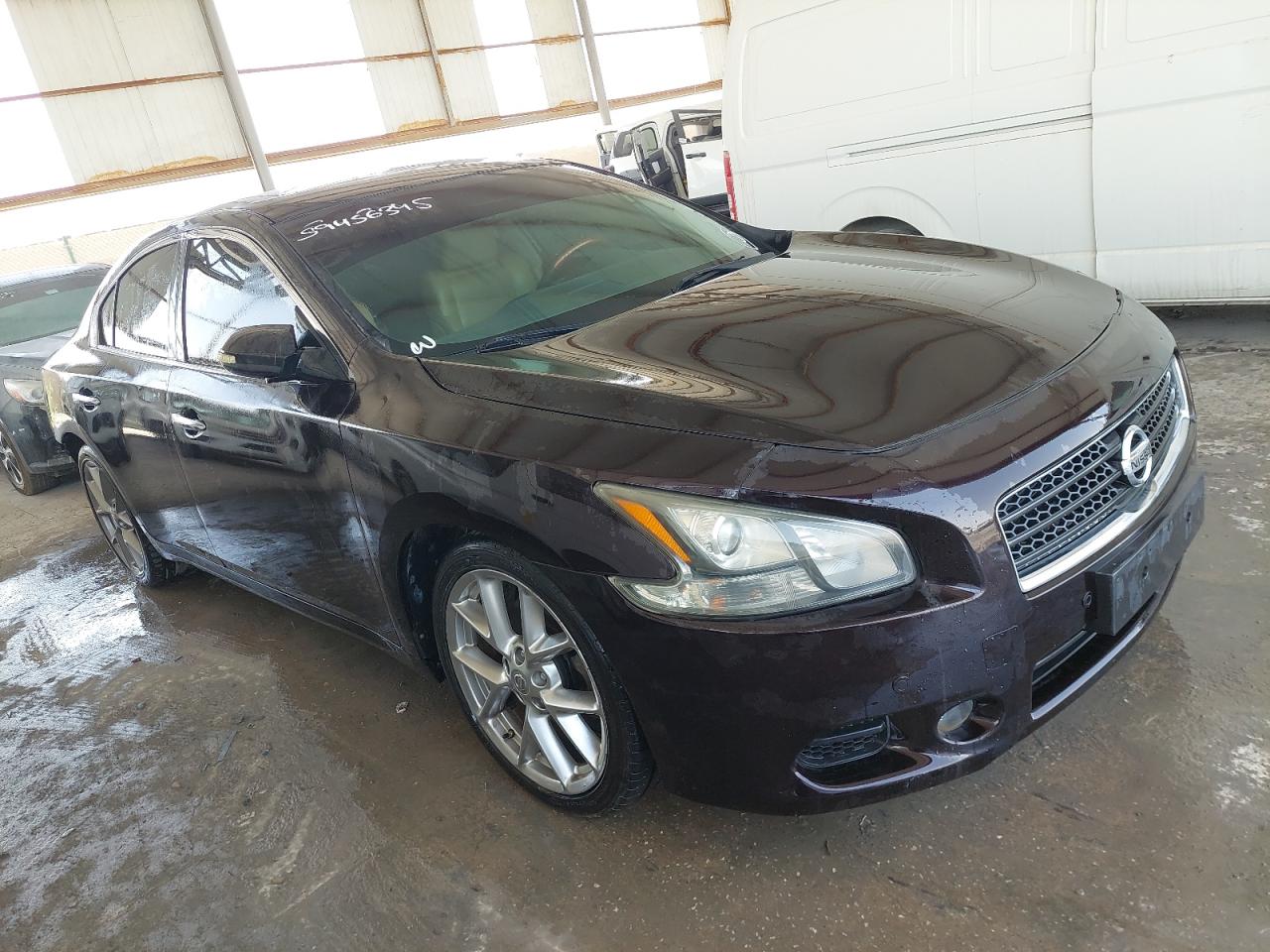 1N4AA5AP8BC804502 - 2011 Nissan MAXIMA - #undefined