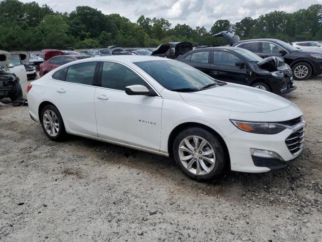  CHEVROLET MALIBU 2023 White