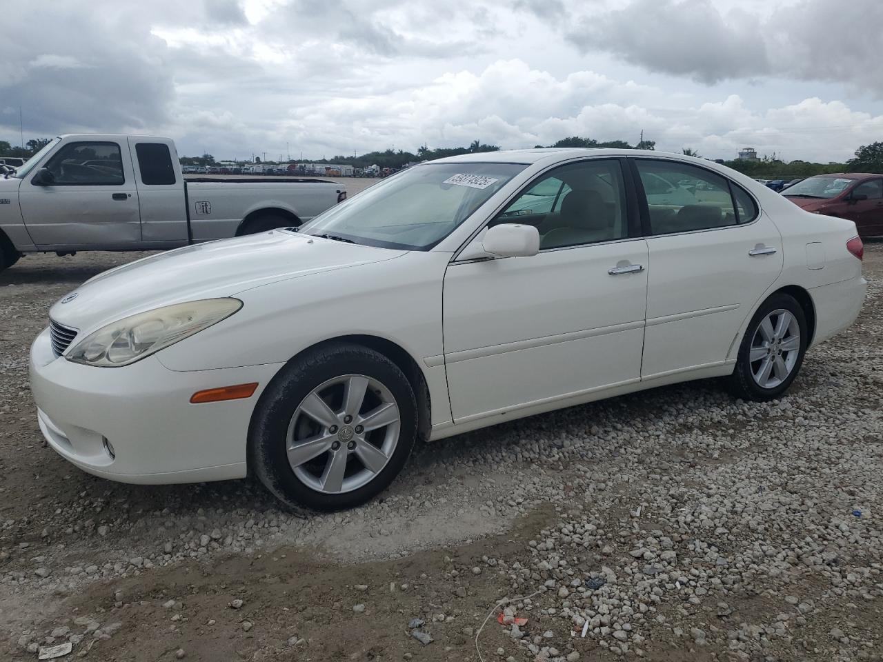 2005 Lexus Es 330 на продаже в West Palm Beach, FL - Hail