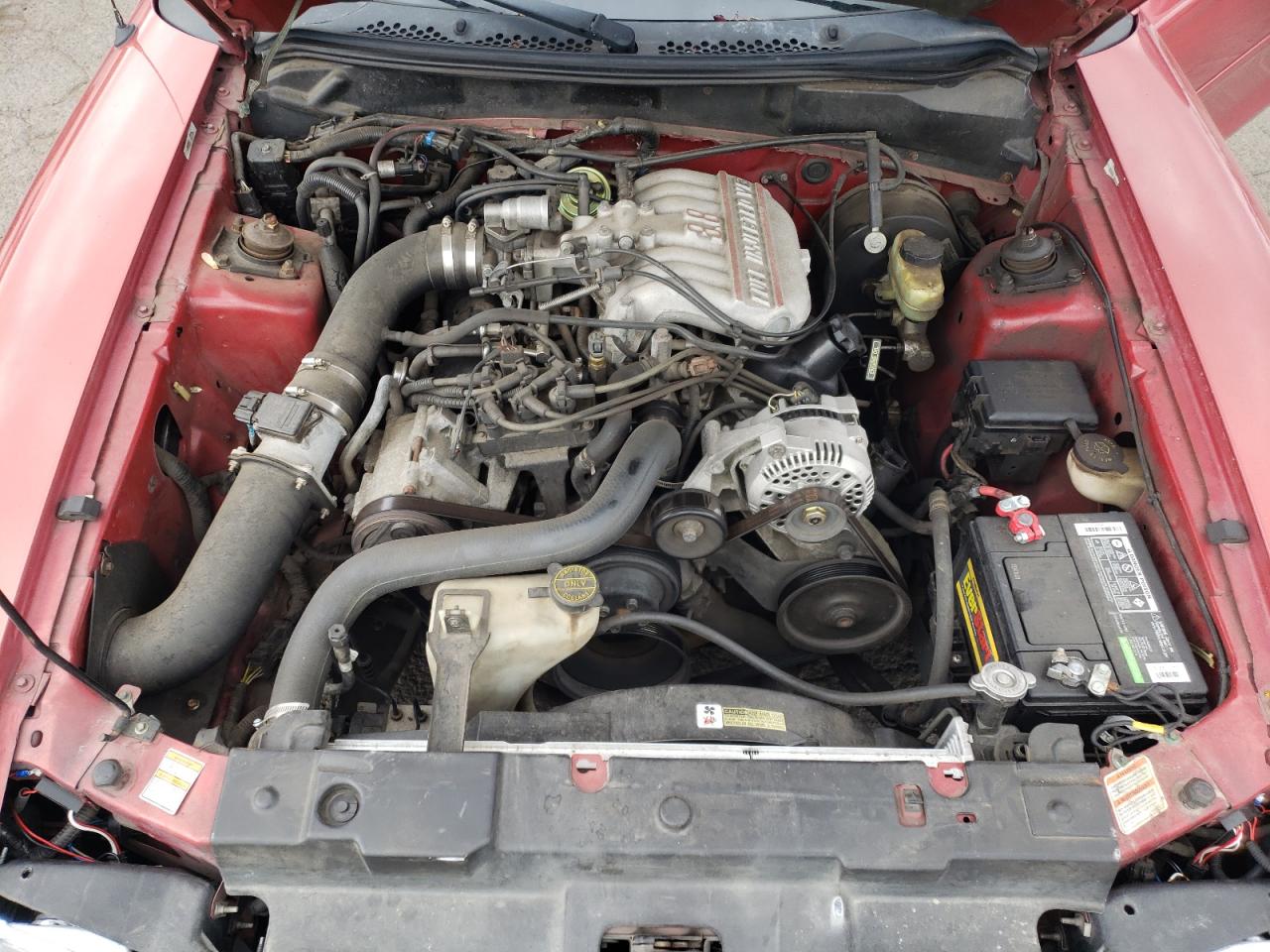 1998 Ford Mustang VIN: 1FAFP4047WF211188 Lot: 59023785