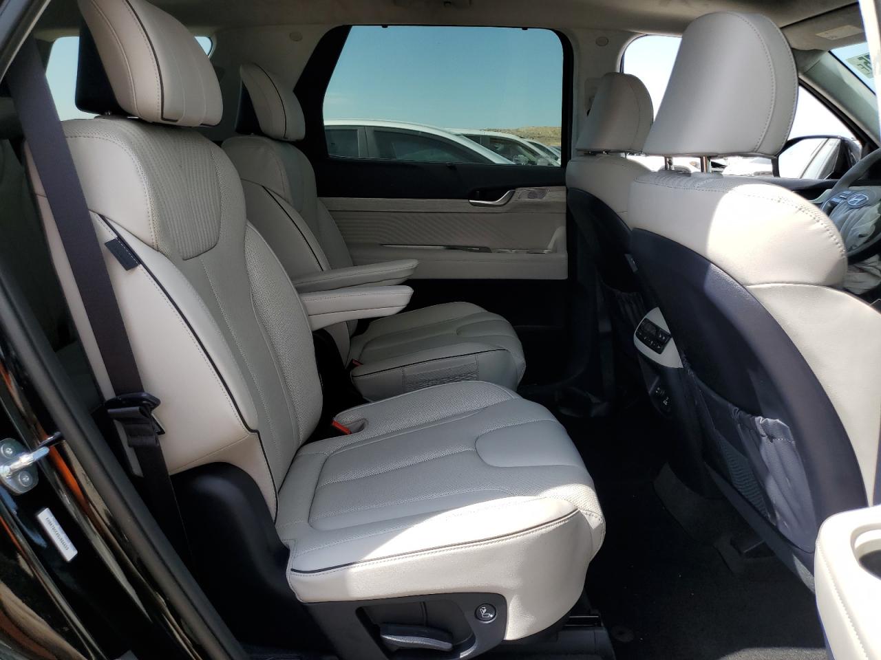 2025 Hyundai Palisade Calligraphy VIN: KM8R7DGE0SU866655 Lot: 60667275